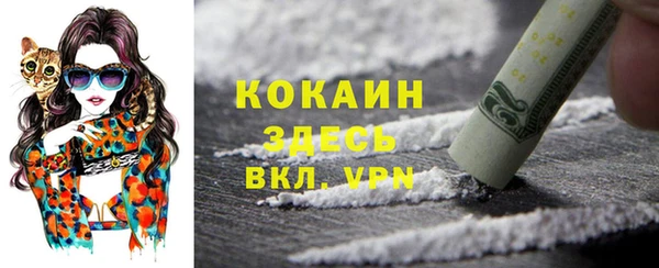 ECSTASY Инта
